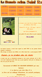 Mobile Screenshot of bernois-saint-roc.com